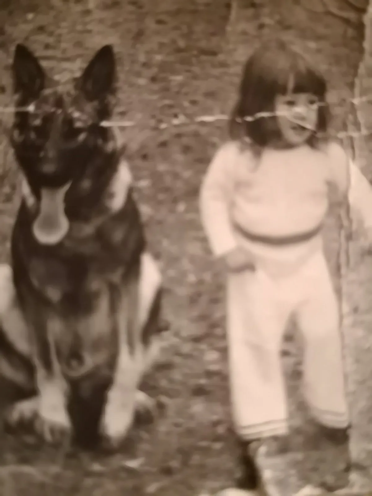 educateur-comportementaliste-canin-cotes-d-armor-Loudéac