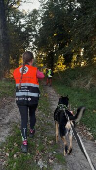 balade-collective-education-canine-bretagne