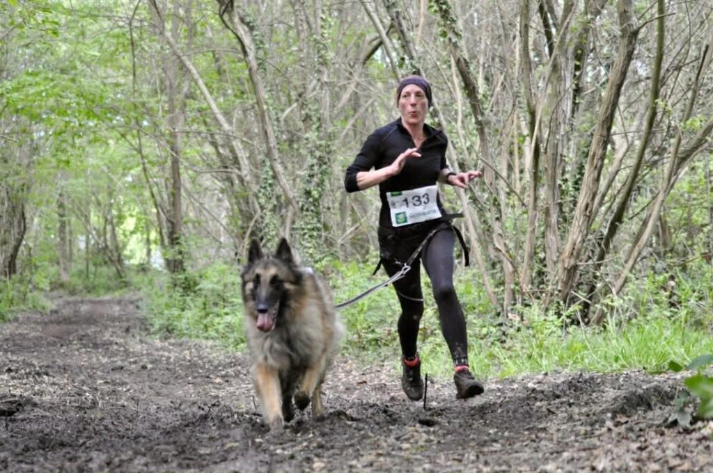 canicross-bretagne-cotes-armor