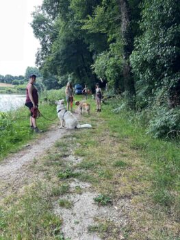 seance-education-canine-collective